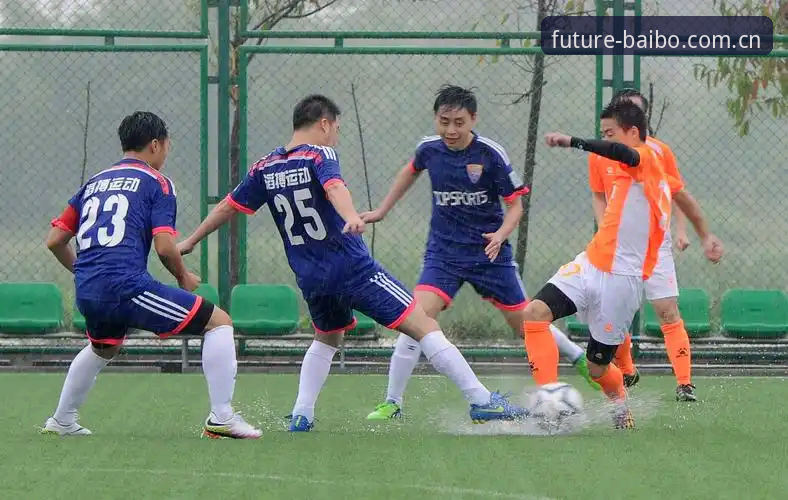 揭秘百博体育平台最新版：从体验到功能全面升级的真相